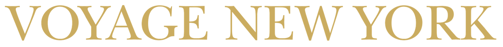 Voyage New York logo